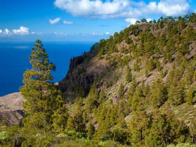 El Sao - Tamadaba - Agaete